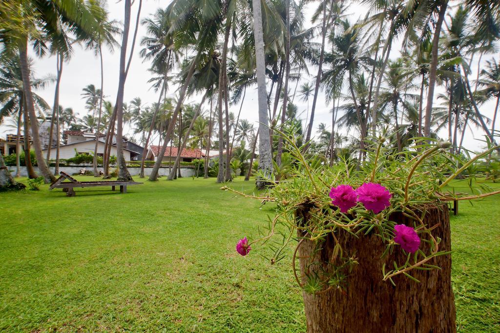 Hotel Chitra Ayurveda Bentota Exterior foto